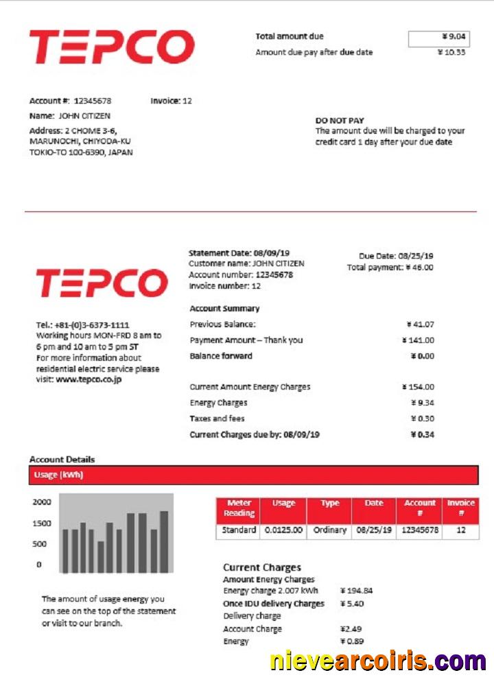Japan Tokyo Electric Power Company electricity utility bill